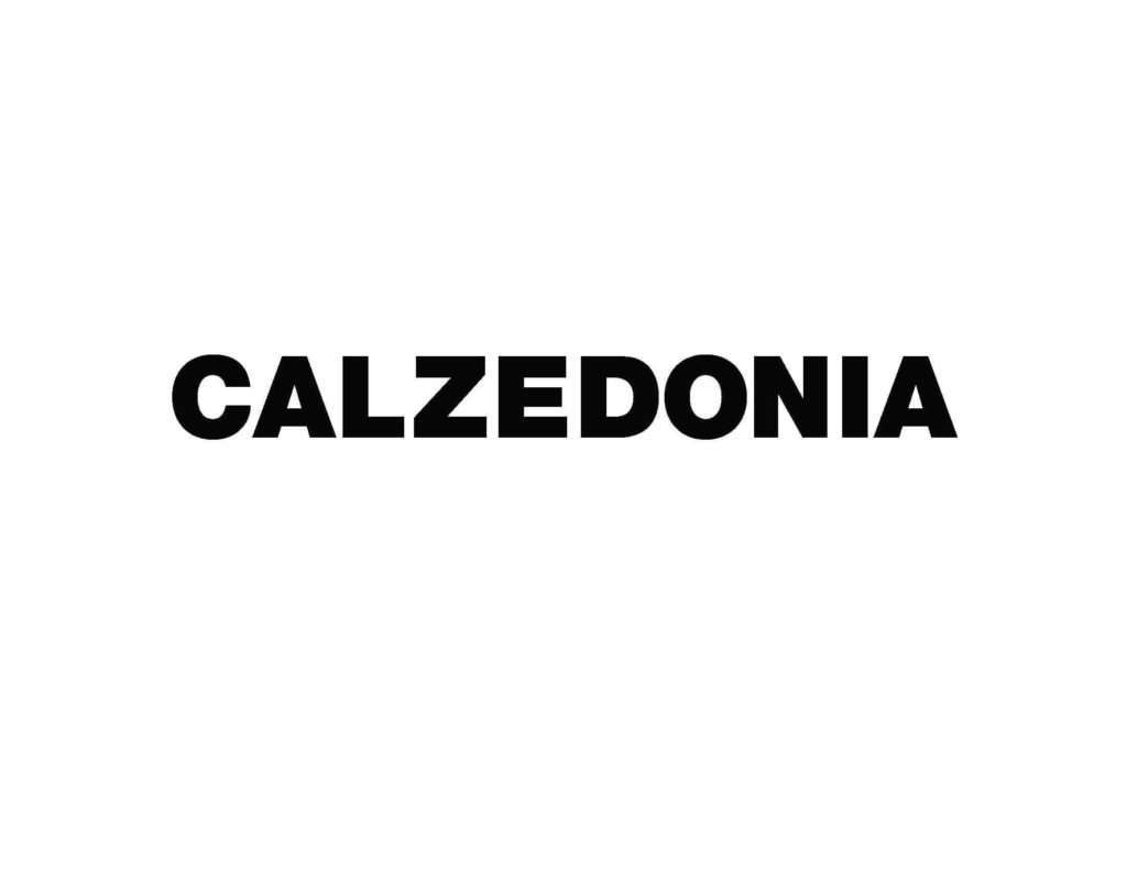 Logo Calzedonia 2002